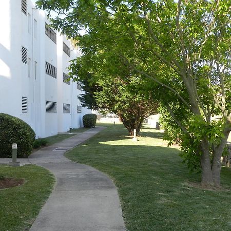 Duvabitat Apartments Port de Pollença Zewnętrze zdjęcie